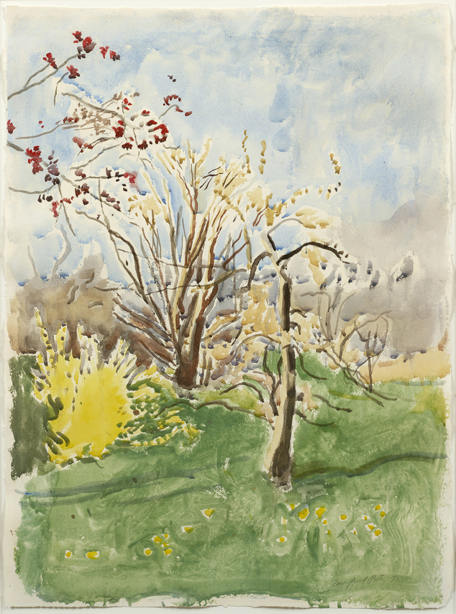 Trees in Bloom, 1975